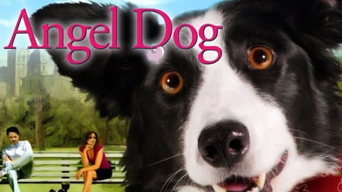 Angel Dog still