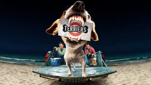 Terriers still
