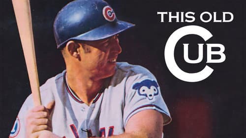This Old Cub still