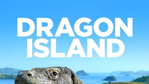 Dragon Island still