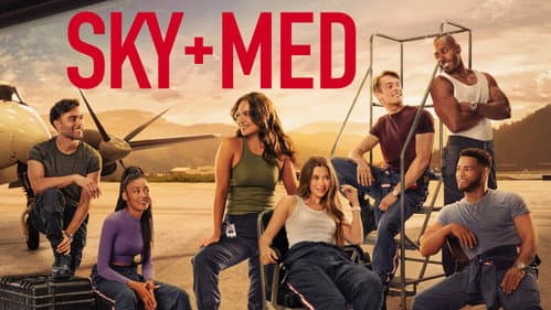 SkyMed still