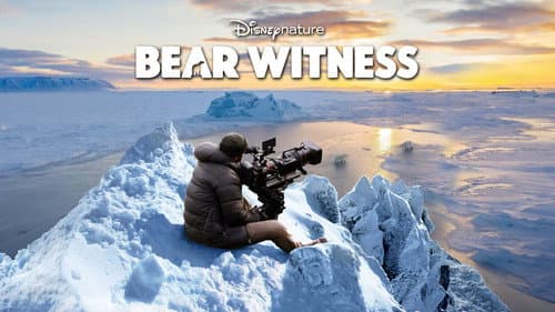 Bear Witness still