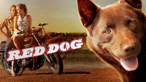 Red Dog still