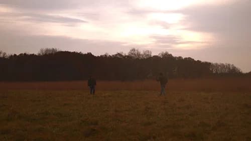 Pictures of Us still