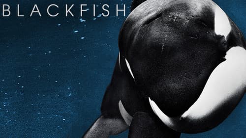 Blackfish still