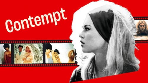 Contempt still