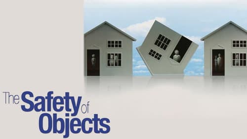 The Safety of Objects still