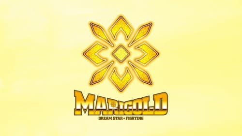 Dream Star★Fighting Marigold still