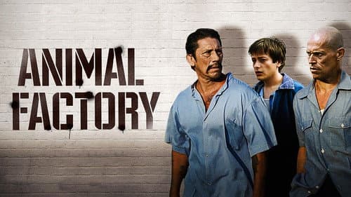 Animal Factory still