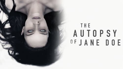 The Autopsy of Jane Doe still