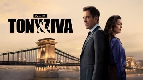 NCIS: Tony & Ziva still