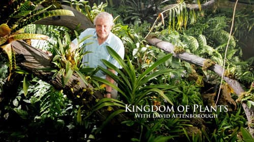 Kingdom of Plants still