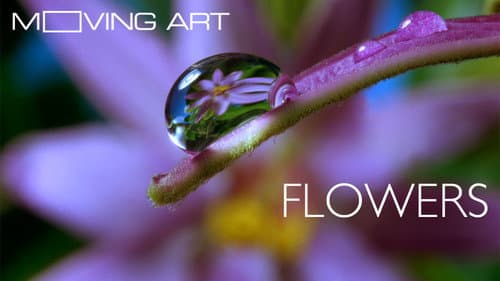 Moving Art still