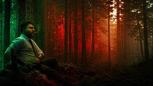 Oru Vadakkan Velicham - A Northern Light still