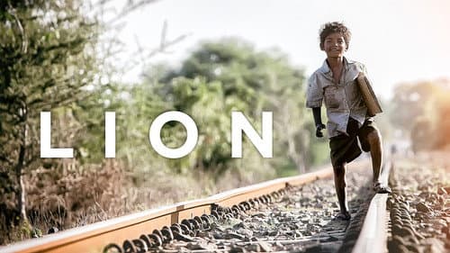 Lion still