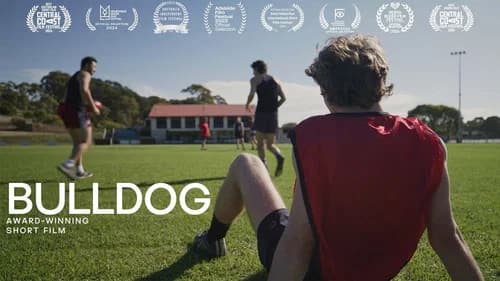 Bulldog still