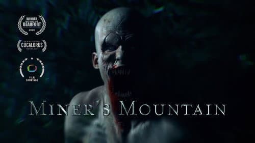 Miner's Mountain still