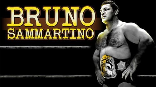 Bruno Sammartino still