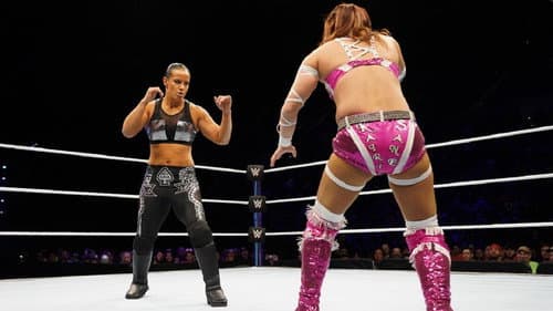 WWE Evolution still