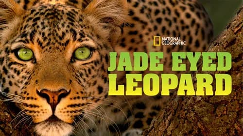 Jade Eyed Leopard still