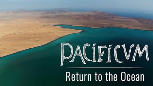 Pacificum: Return to the Ocean still