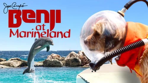 Benji (Takes a Dive) at Marineland still