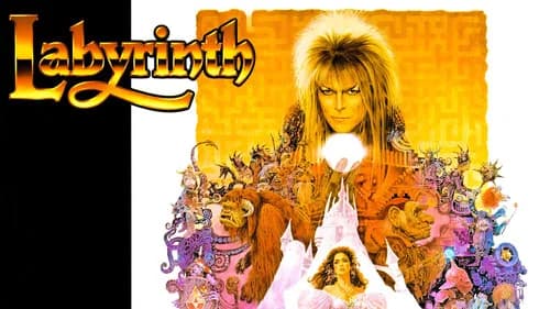 Labyrinth still