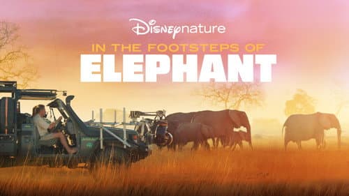 In the Footsteps of Elephant still