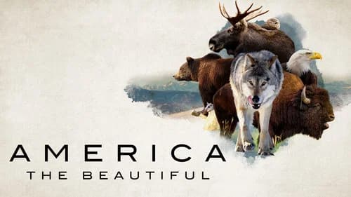 America the Beautiful still