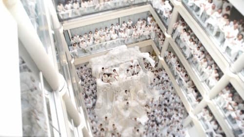 The Great Sperm Race still