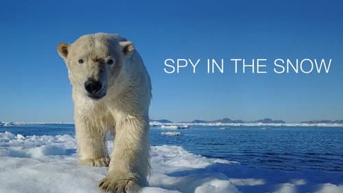 Spy in the Snow still