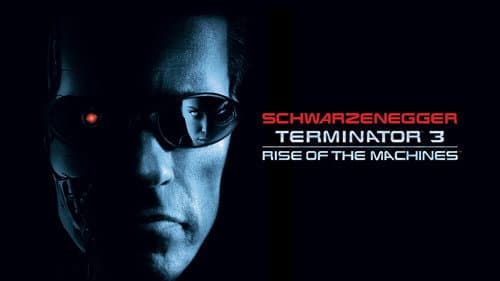 Terminator 3: Rise of the Machines still