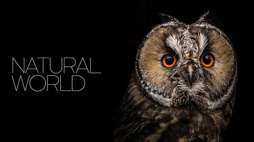 Natural World still