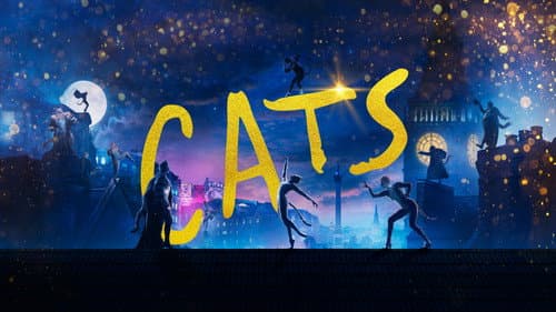 Cats still