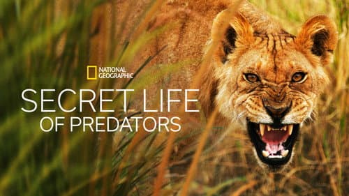 Secret Life of Predators still