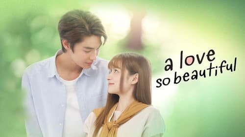 A Love So Beautiful still