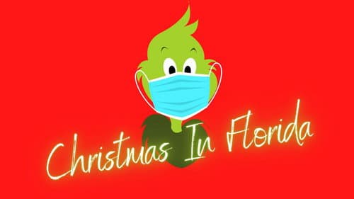 Christmas In Florida still