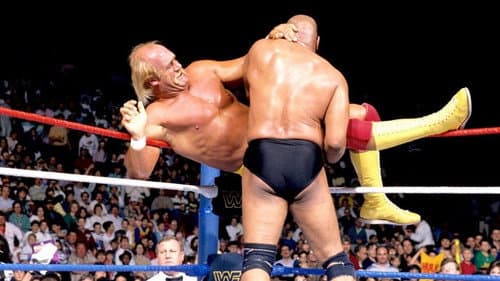 WWE Royal Rumble 1989 still
