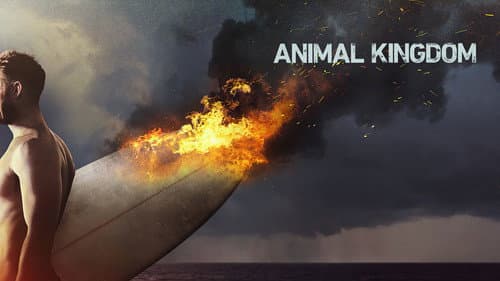Animal Kingdom still