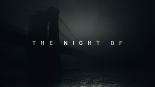 The Night Of still