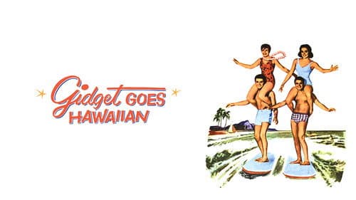 Gidget Goes Hawaiian still