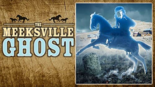 The Meeksville Ghost still