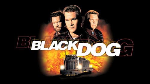 Black Dog still