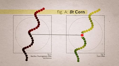 Food Evolution still