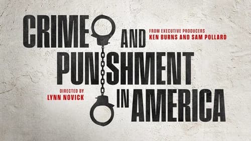 Crime and Punishment in America still