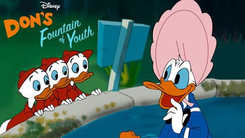 Don's Fountain of Youth still