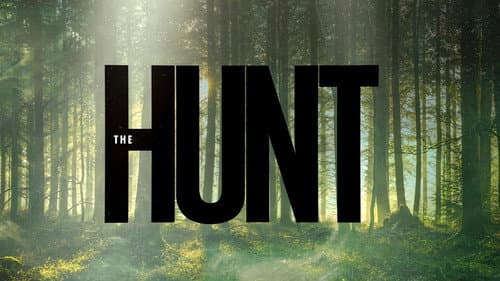 The Hunt: Prey vs Predator still