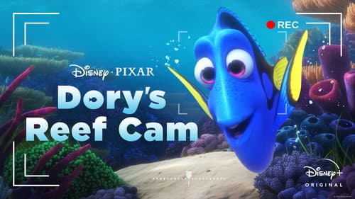 Dory's Reef Cam still