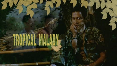 Tropical Malady still
