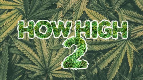 How High 2 still